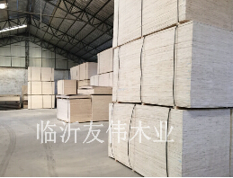 包裝板生蟲應(yīng)該怎么辦？